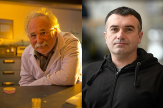 New International Research Team Headed by Scientists at Clarkson University