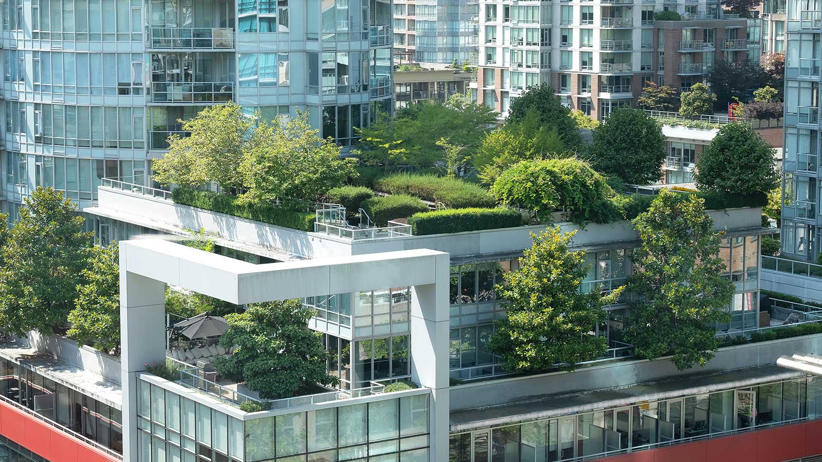 Trees and greenery on top of a city building representing Environmental-Health-Science program at Clarkson