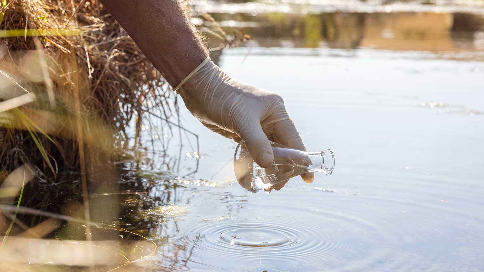 Environmental-Science at Clarkson