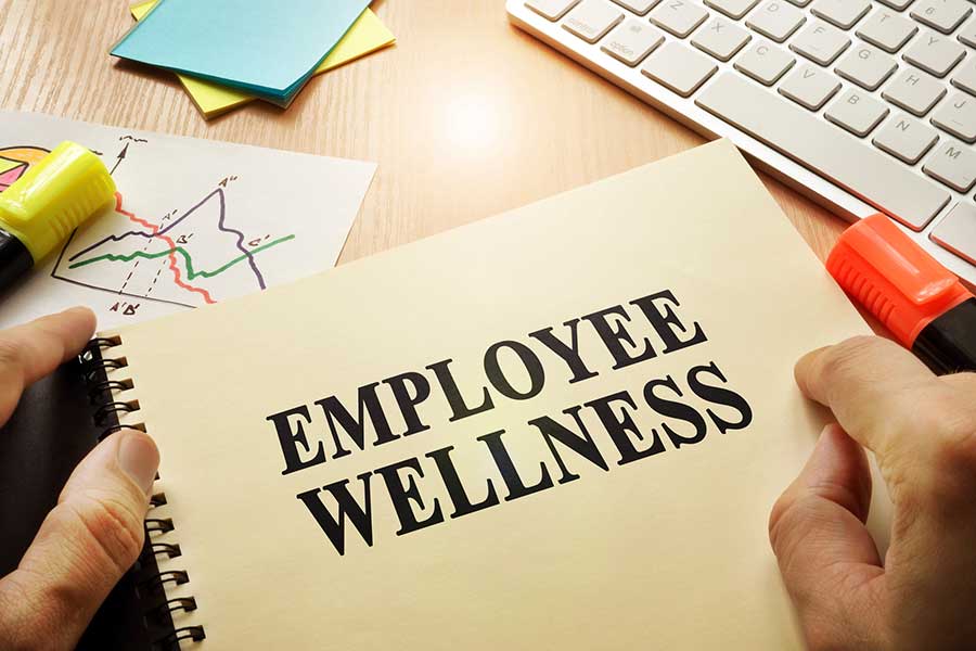 Binder with Employee Wellness on it