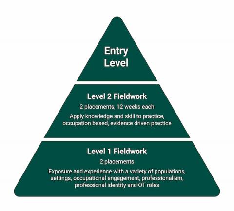 OT Fieldwork description by the levels