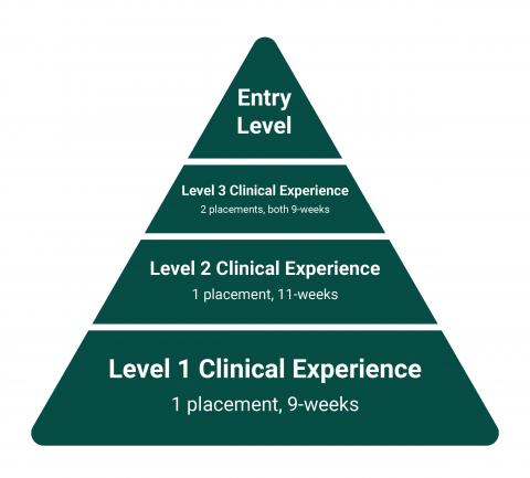 Structure of the clinical experience