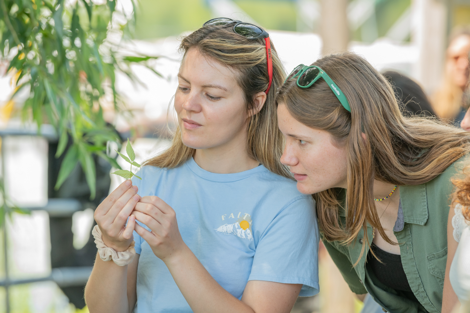 Two female students examine a green leafy plant held by the student on the left, while the student on the right peers over her shoulder. 