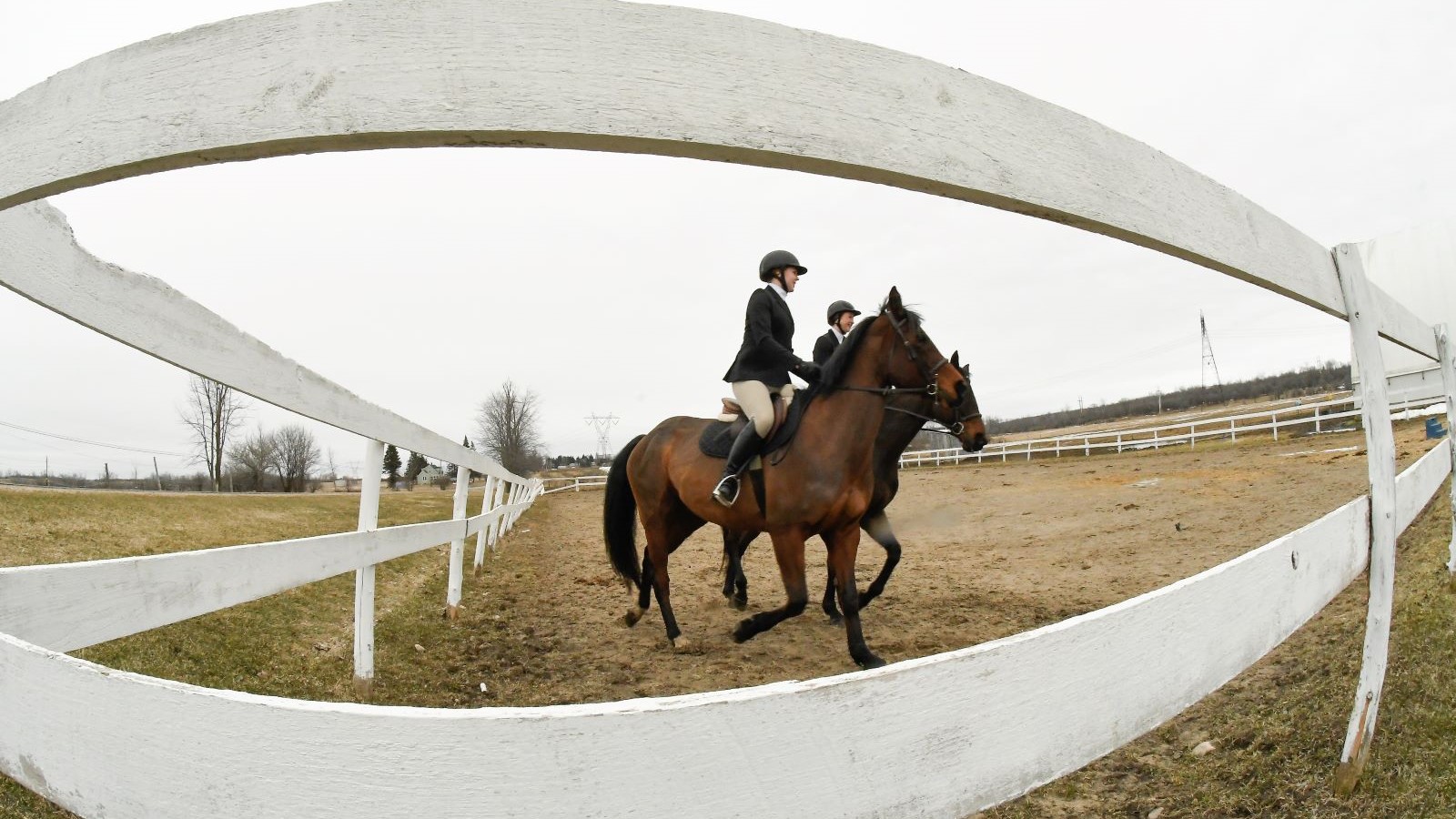 Clarkson Equestrian Clarkson University