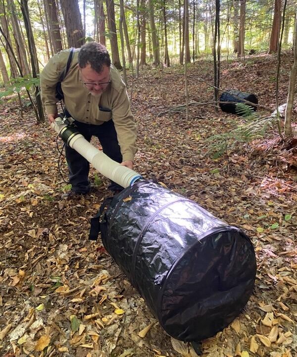 A man adjusts a white tube which feeds into a black cylindrical bag in the forest.