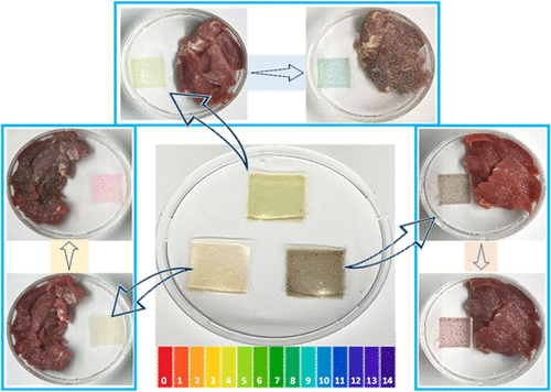 a diagram showing food sensors and how their color changes when next to meat at various levels of spoilage.