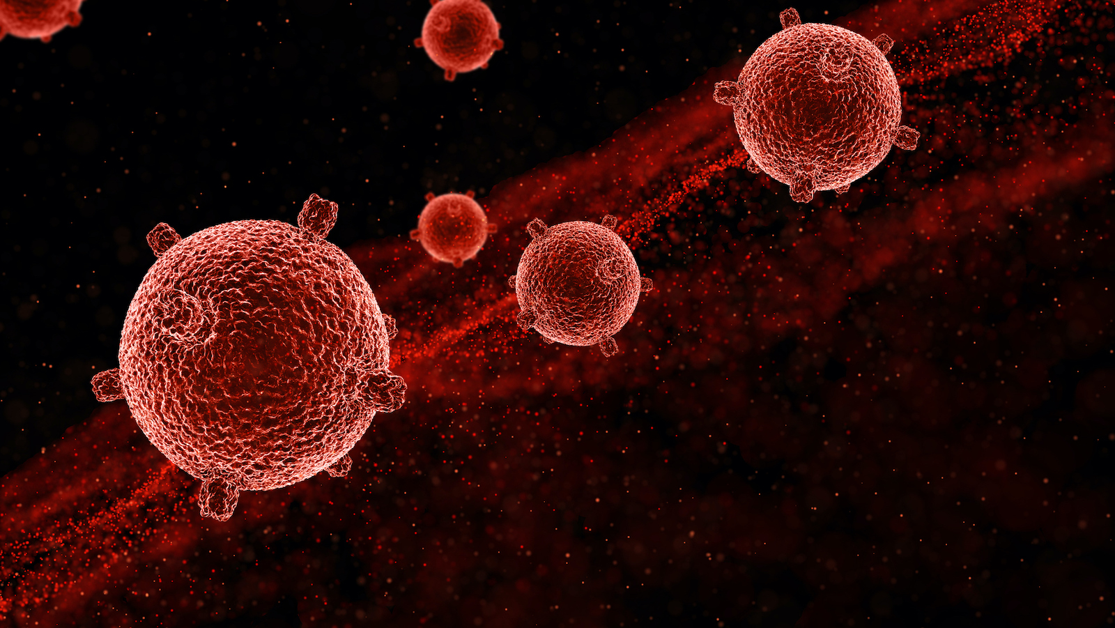 Bachelor of Science in Business of Biotechnology