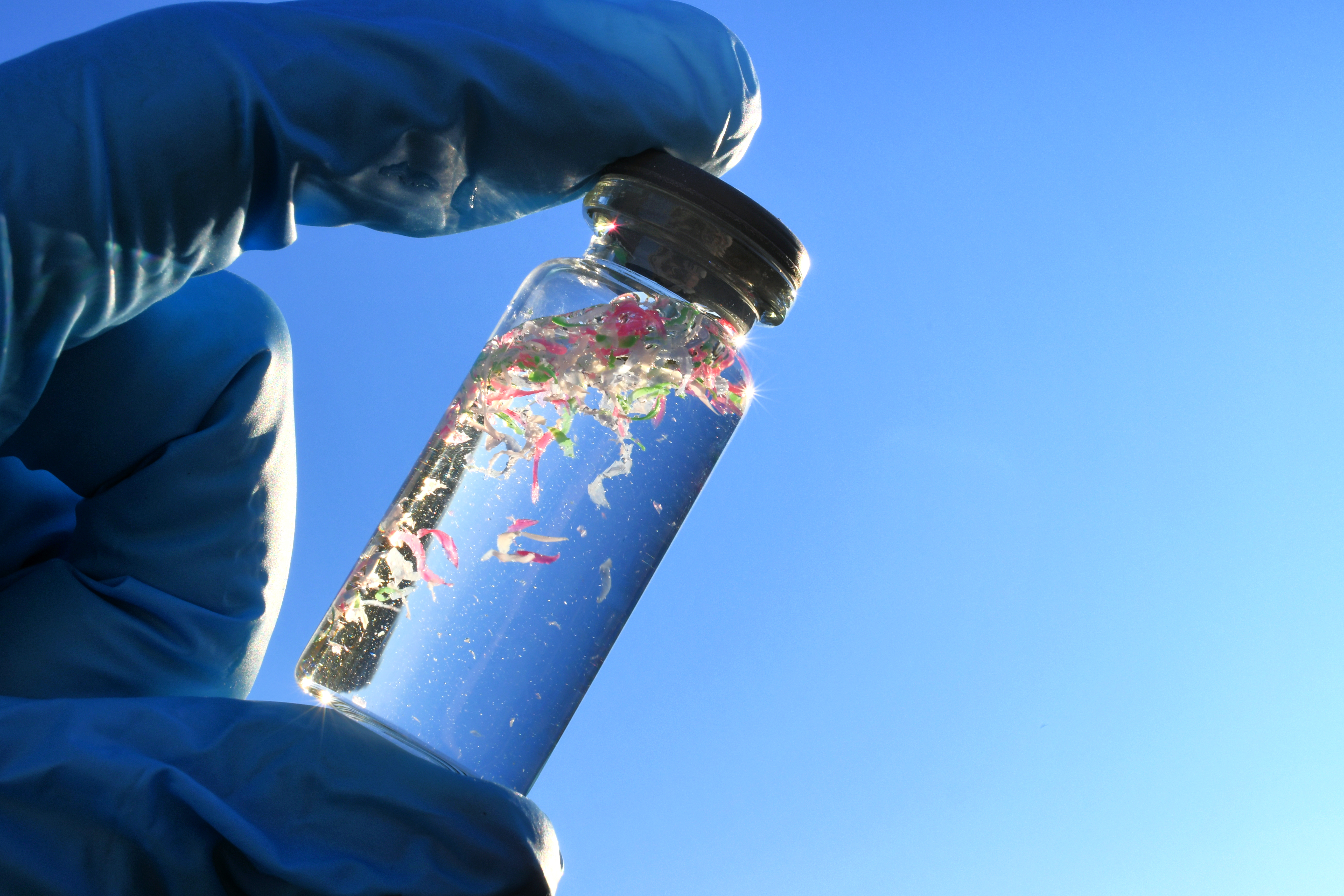 A gloved hand holds up a vial of water containing microplastics.