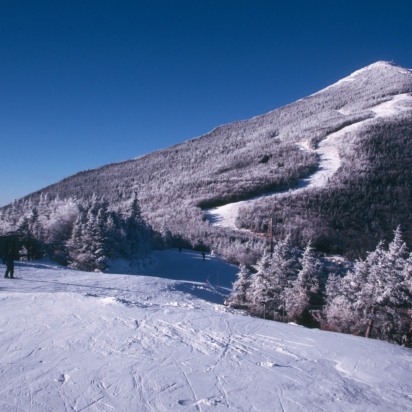 The snow-covered peak of Whiteface Mountain under a deep blue sky. A groomed ski trail winds down the side of the mountain through frosted evergreen trees, with a lone skier visible in the foreground.