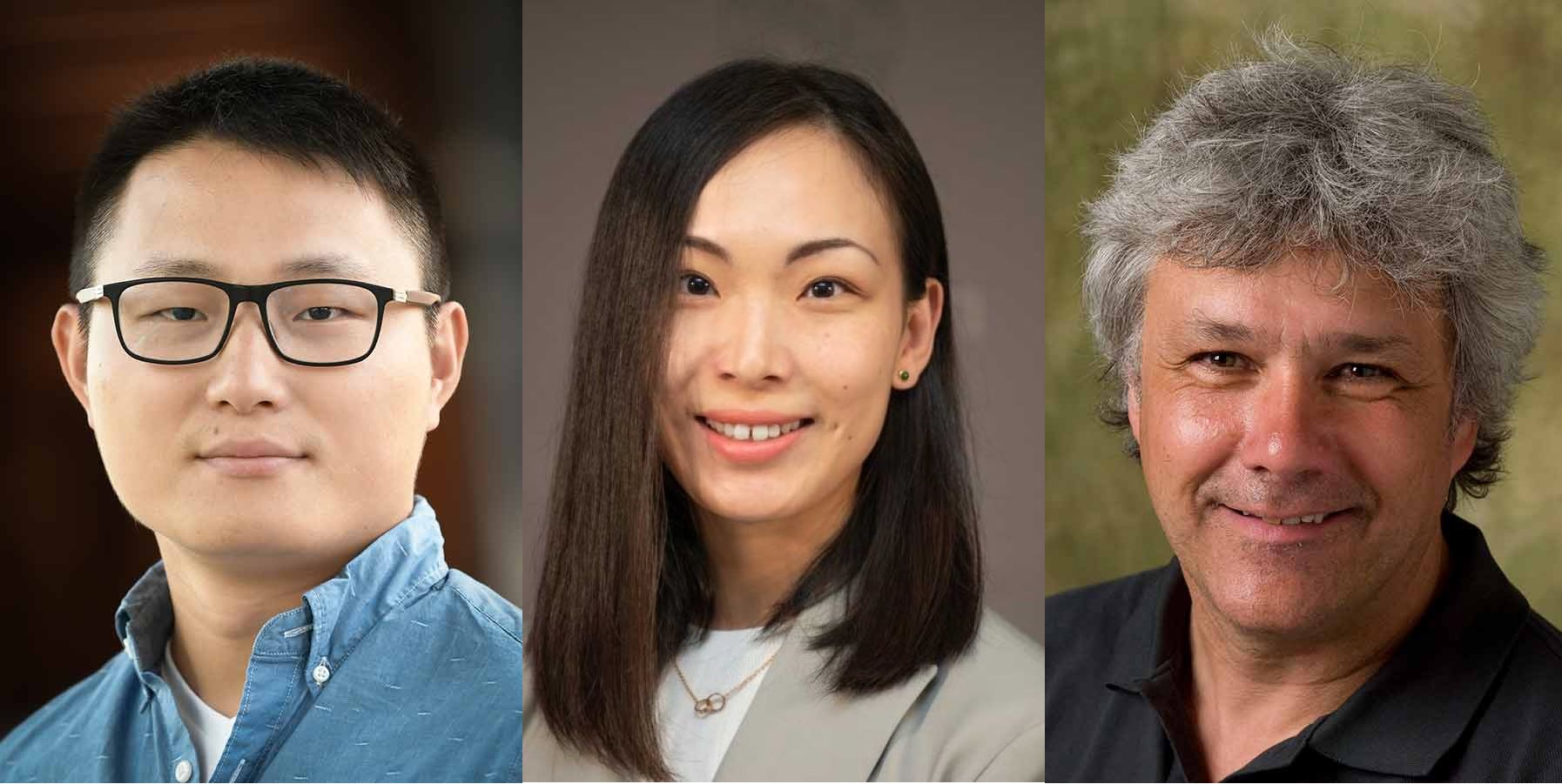 Headshots of Yang Yang, Siwen Wang, and Stefan Grimberg