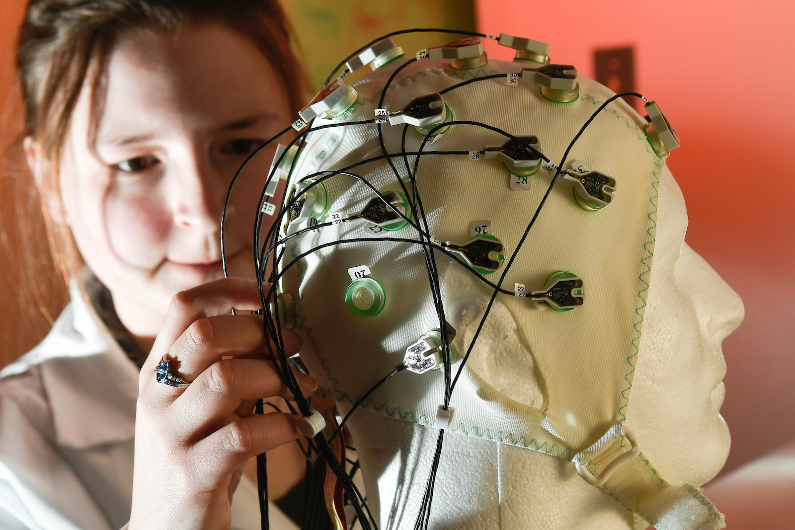 Bachelor of Science in Neuroscience