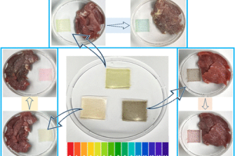 Clarkson University Researchers Develop Eco-Friendly Sensors to Reduce Food Waste